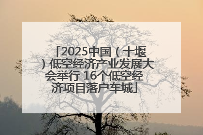 2025中国（十堰）低空经济产业发展大会举行 16个低空经济项目落户车城