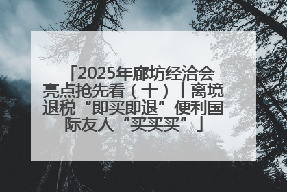 2025年廊坊经洽会亮点抢先看（十）丨离境退税“即买即退”便利国际友人“买买买”