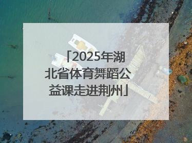 2025年湖北省体育舞蹈公益课走进荆州
