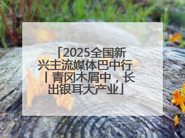 2025全国新兴主流媒体巴中行丨青冈木屑中，长出银耳大产业