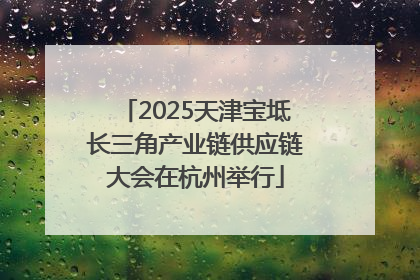 2025天津宝坻长三角产业链供应链大会在杭州举行