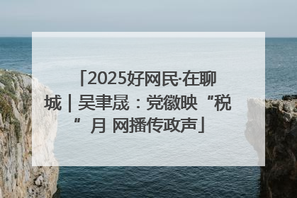 2025好网民·在聊城｜吴聿晟：党徽映“税”月 网播传政声