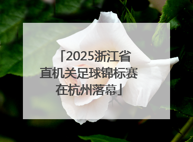 2025浙江省直机关足球锦标赛在杭州落幕