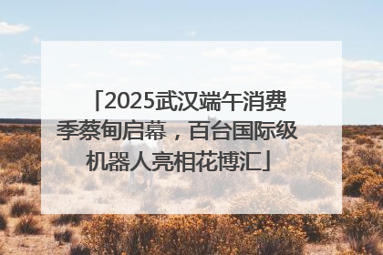 2025武汉端午消费季蔡甸启幕，百台国际级机器人亮相花博汇
