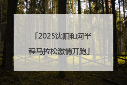 2025沈阳和河半程马拉松激情开跑