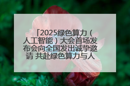 2025绿色算力（人工智能）大会首场发布会向全国发出诚挚邀请 共赴绿色算力与人工智能融合之约