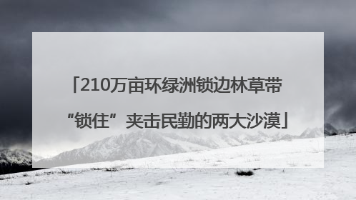 210万亩环绿洲锁边林草带“锁住”夹击民勤的两大沙漠