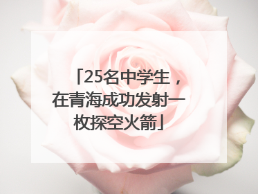 25名中学生，在青海成功发射一枚探空火箭