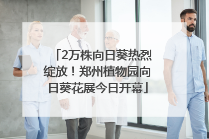 2万株向日葵热烈绽放！郑州植物园向日葵花展今日开幕