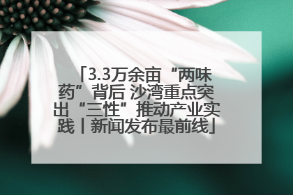 3.3万余亩“两味药”背后 沙湾重点突出“三性”推动产业实践丨新闻发布最前线