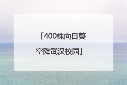 400株向日葵空降武汉校园