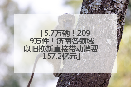 5.7万辆！209.9万件！济南各领域以旧换新直接带动消费157.2亿元