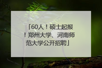 60人！硕士起报！郑州大学、河南师范大学公开招聘