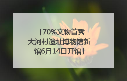 70%文物首秀 大河村遗址博物馆新馆6月14日开馆