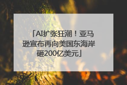 AI扩张狂潮！亚马逊宣布再向美国东海岸砸200亿美元
