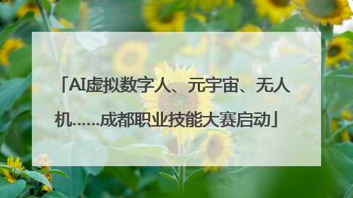 AI虚拟数字人、元宇宙、无人机……成都职业技能大赛启动