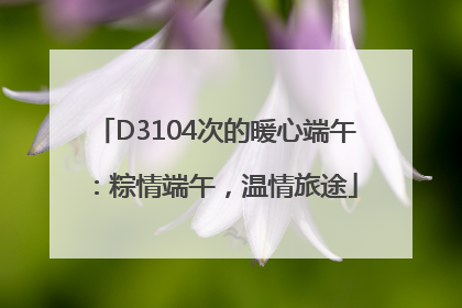 D3104次的暖心端午：粽情端午，温情旅途