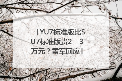 YU7标准版比SU7标准版贵2—3万元？雷军回应